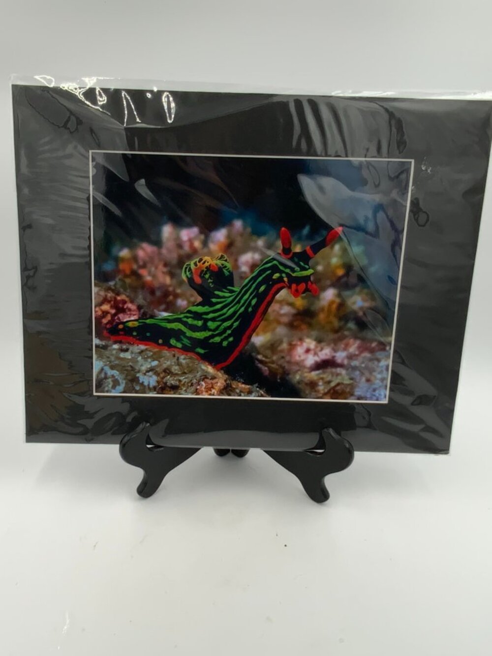 Original Neon Slug Photograph Nembrotha Kubaryana Nudiebranch